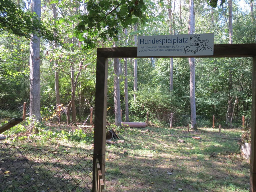 Mueritzparadies - Feriendorf Alte Fahrt Rechlin Kültér fotó