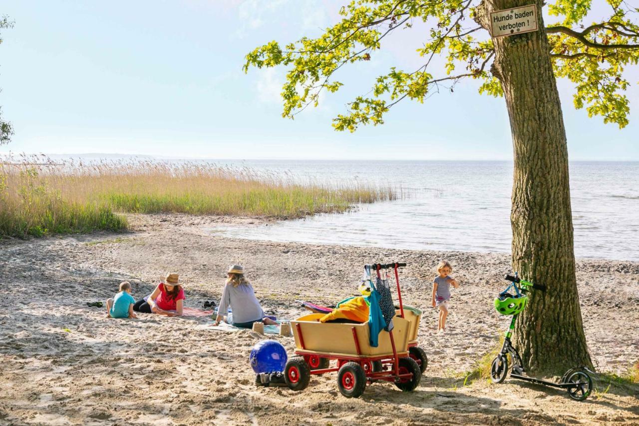 Mueritzparadies - Feriendorf Alte Fahrt Rechlin Kültér fotó