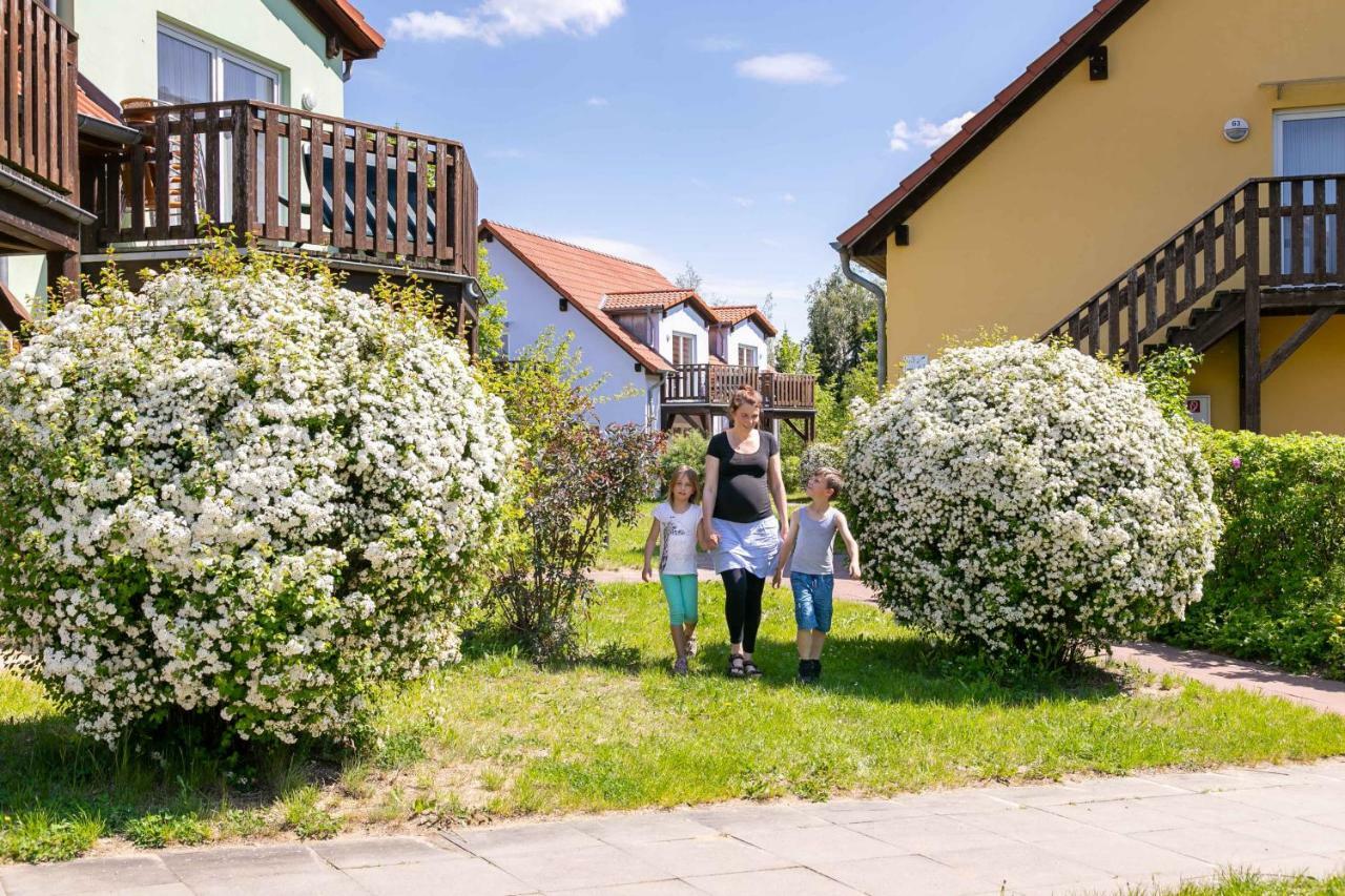 Mueritzparadies - Feriendorf Alte Fahrt Rechlin Kültér fotó